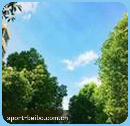 小陈